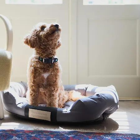 Apartament Wawrzyńca By Downtown *