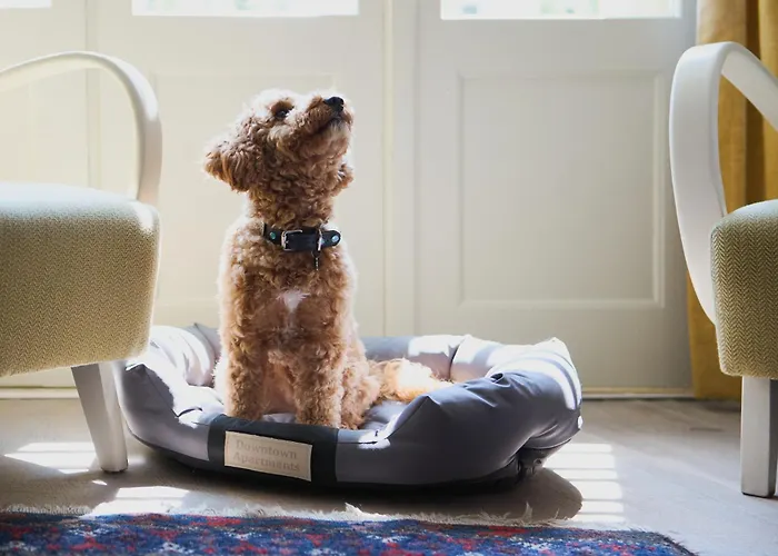 Apartament Wawrzyńca By Downtown *